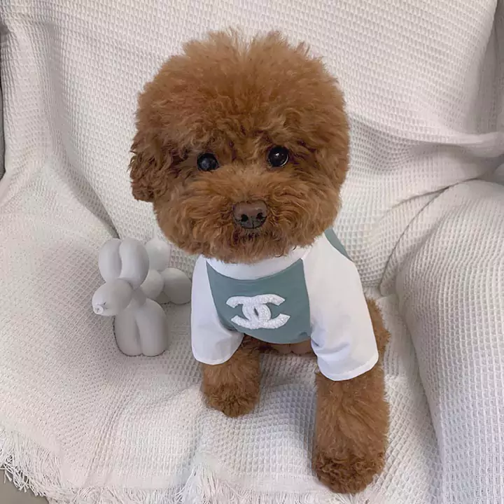 シャネル風犬服春夏