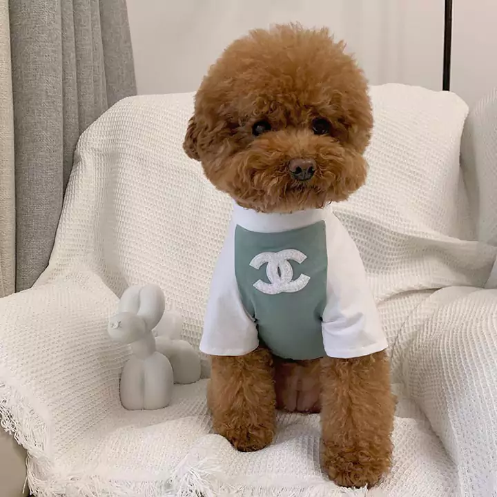 chanelワンちゃん服犬Tシャツ送料無料