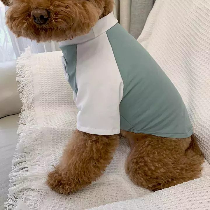 ハイブランド犬服